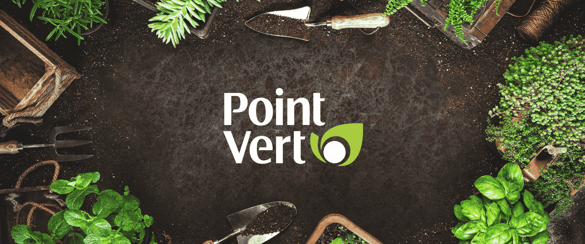 Point vert header